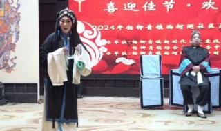 元宵晚会2024年直播回放