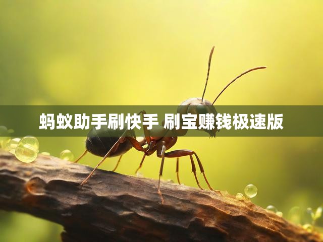 蚂蚁助手刷快手 刷宝赚钱极速版