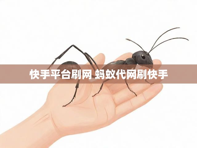 快手平台刷网 蚂蚁代网刷快手
