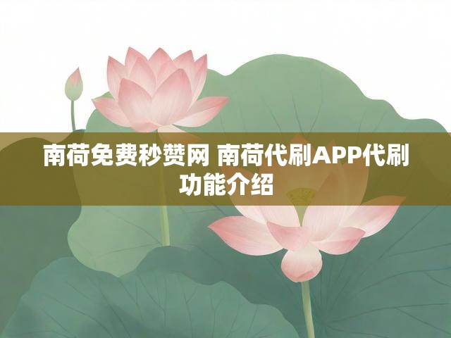 南荷免费秒赞网 南荷代刷APP代刷功能介绍